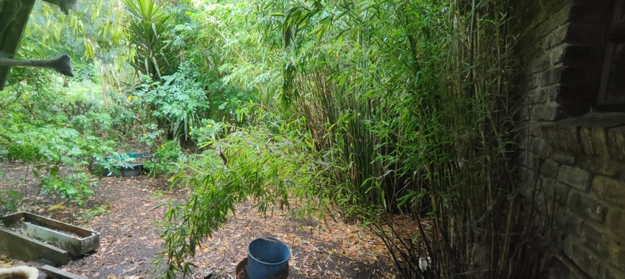 3 Bedroom Property for Sale in Greenbushes Eastern Cape